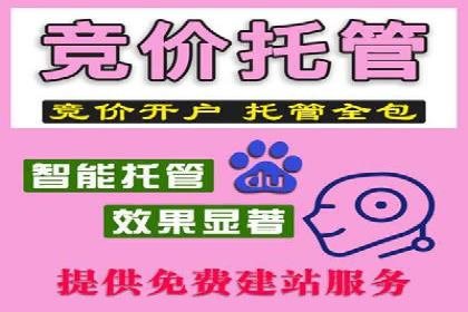 SEM账户托管优化案例深度解析